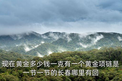 现在黄金多少钱一克有一个黄金项链是一节一节的长春哪里有回