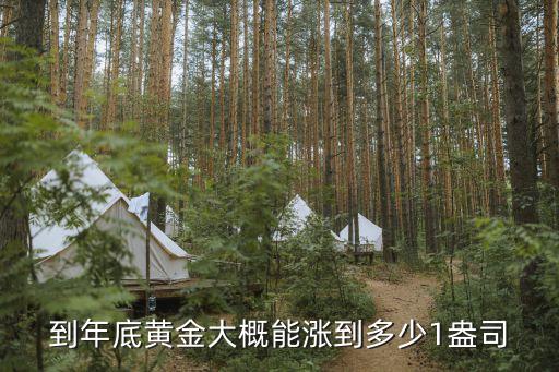 到年底黄金大概能涨到多少1盎司