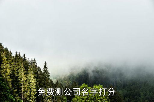 免费测公司名字打分