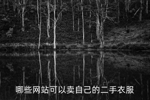 哪些网站可以卖自己的二手衣服