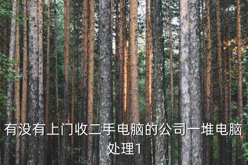 有没有上门收二手电脑的公司一堆电脑处理1