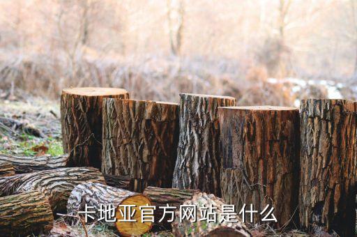 卡地亚官方网站是什么