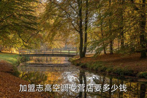 加盟志高空调专营店要多少钱
