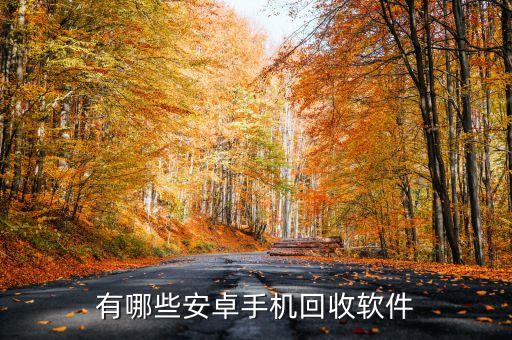 有哪些安卓手机回收软件