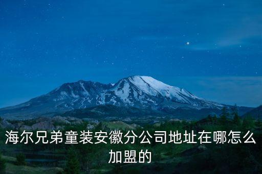 海尔兄弟童装安徽分公司地址在哪怎么加盟的
