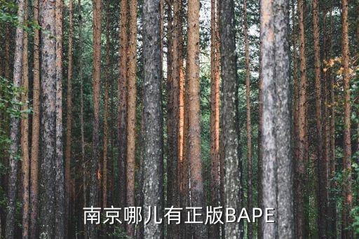 宝珀南京官方售后，南京哪儿有正版BAPE