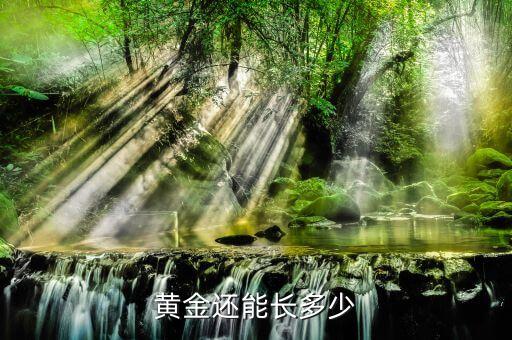 黄金还能长多少