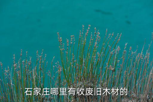 石家庄哪里有收废旧木材的