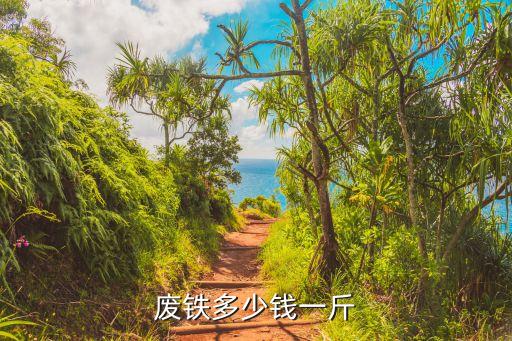 废铁多少钱一斤