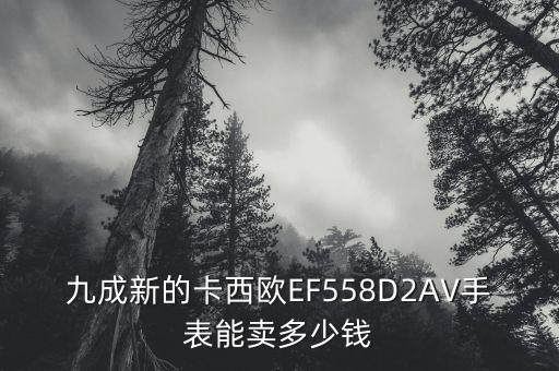 九成新的卡西欧EF558D2AV手表能卖多少钱