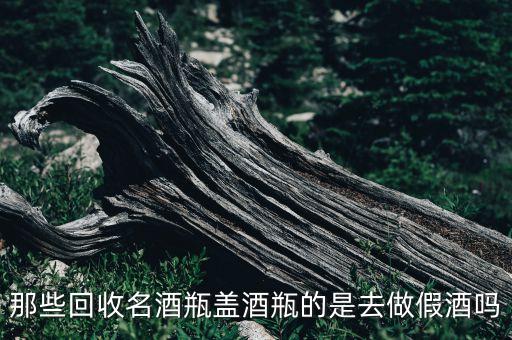 那些回收名酒瓶盖酒瓶的是去做假酒吗