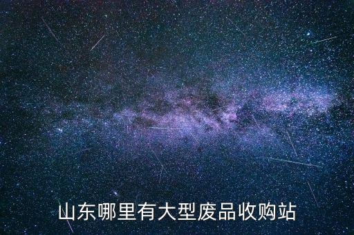 山东哪里有大型废品收购站