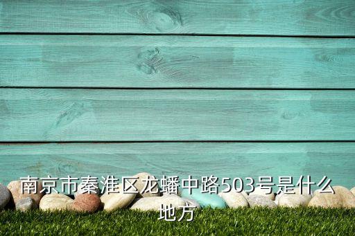 南京市秦淮区龙蟠中路503号是什么地方