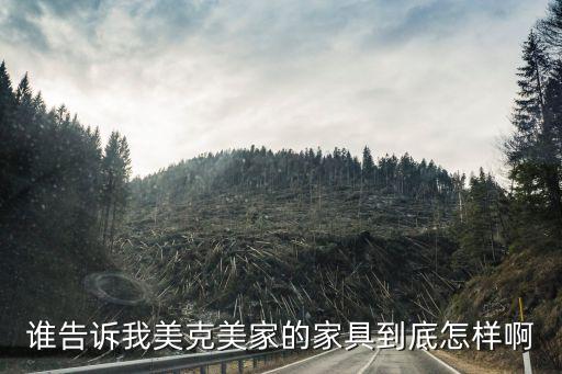 谁告诉我美克美家的家具到底怎样啊