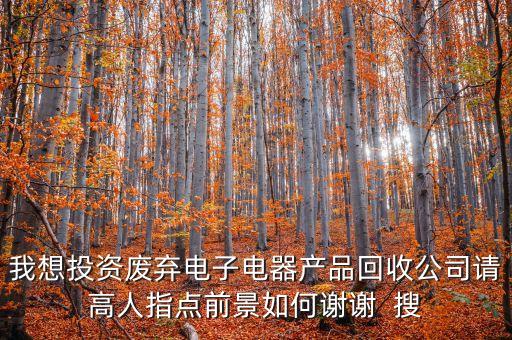 我想投资废弃电子电器产品回收公司请高人指点前景如何谢谢  搜
