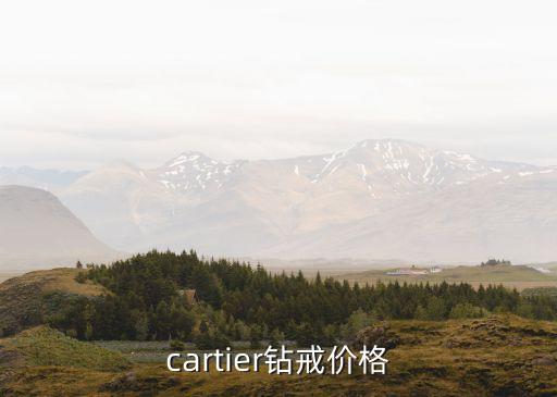 cartier钻戒价格