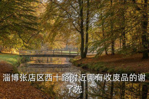 淄博张店区西十路附近哪有收废品的谢了先