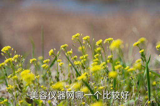 回收美容仪器的网站，有哪些网站是专业做美容仪器的