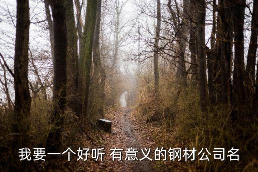 我要一个好听 有意义的钢材公司名