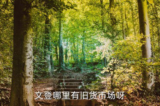 文登哪里有旧货市场呀