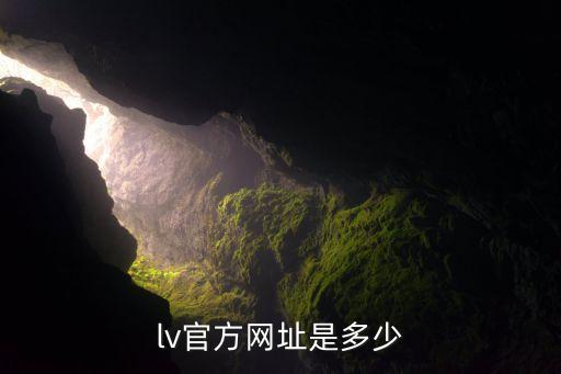 lv官方网址是多少