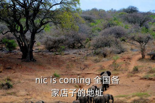 nic is coming 全国各家店子的地址