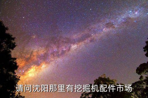 请问沈阳那里有挖掘机配件市场