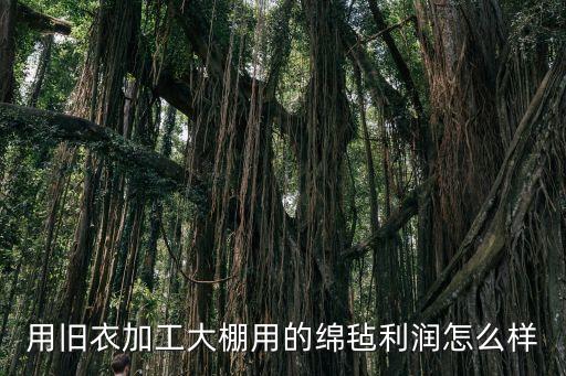 用旧衣加工大棚用的绵毡利润怎么样