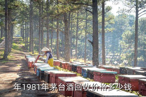 年1981年茅台酒回收价格多少钱