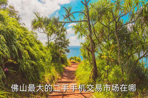 佛山最大的二手手机交易市场在哪