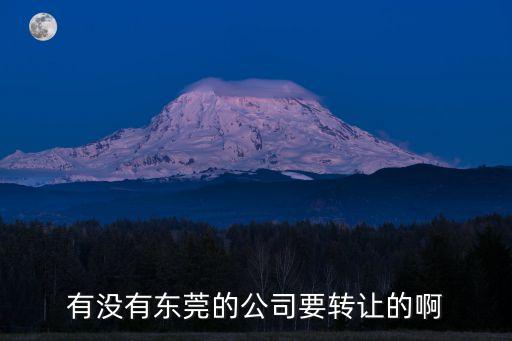 有没有东莞的公司要转让的啊