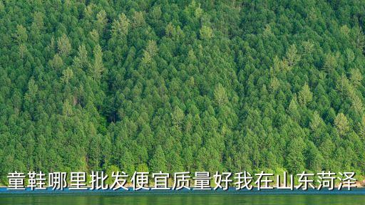 童鞋哪里批发便宜质量好我在山东菏泽