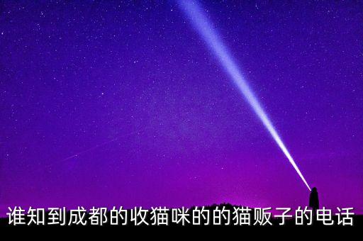 谁知到成都的收猫咪的的猫贩子的电话