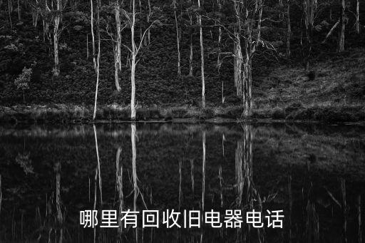 回收旧电器上门，哪里有回收旧电器电话