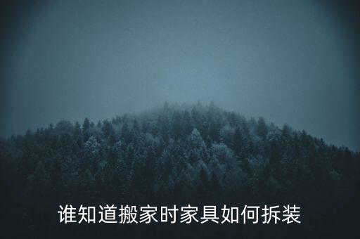 拆装家具 搬家，请教关于板式家具拆卸搬运