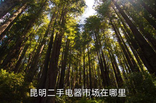 昆明二手电器市场在哪里