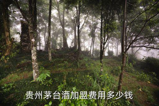 贵州茅台加盟代理多少钱，贵州茅台酒加盟费用多少钱