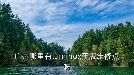 广州哪里有luminox手表维修点呀