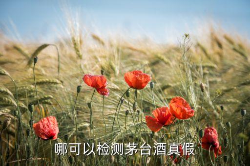 茅台酒鉴定中心电话，茅台真假 电话查询