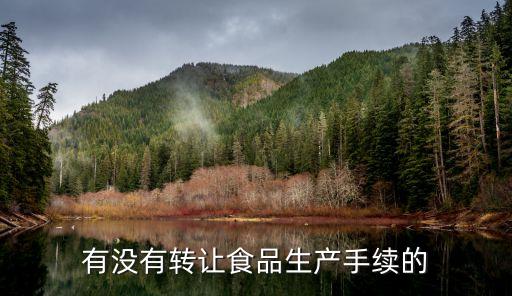有没有转让食品生产手续的