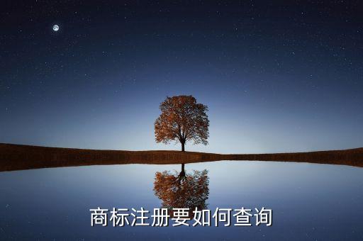 商标注册要如何查询