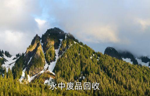废品回收加盟官方网站电话，永中废品回收