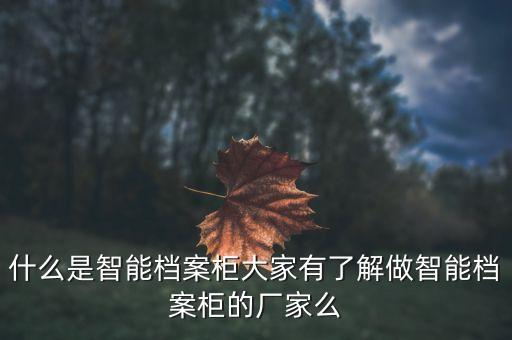 什么是智能档案柜大家有了解做智能档案柜的厂家么