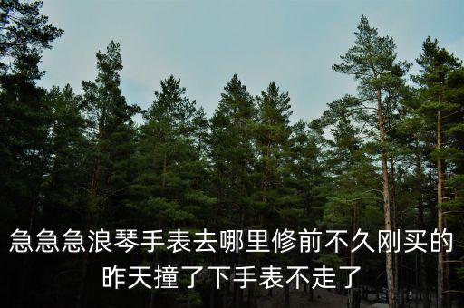 急急急浪琴手表去哪里修前不久刚买的昨天撞了下手表不走了