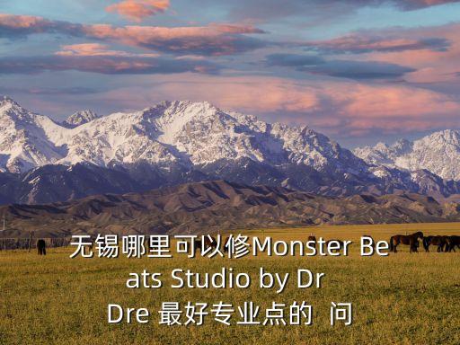 无锡哪里可以修Monster Beats Studio by Dr Dre 最好专业点的  问