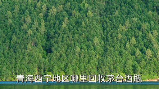 青海西宁地区哪里回收茅台酒瓶
