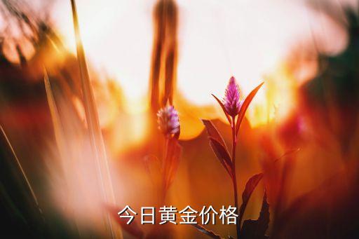 今日黄金价格