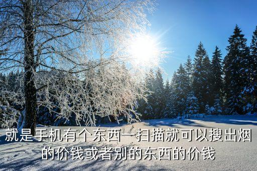 就是手机有个东西一扫描就可以搜出烟的价钱或者别的东西的价钱