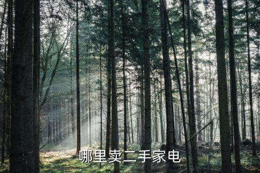 哪里卖二手家电