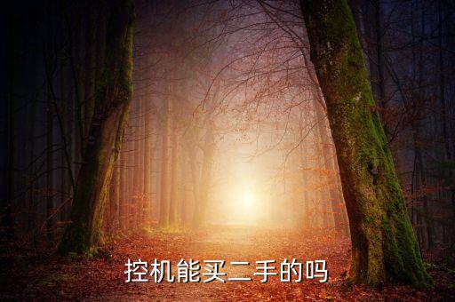 控机能买二手的吗